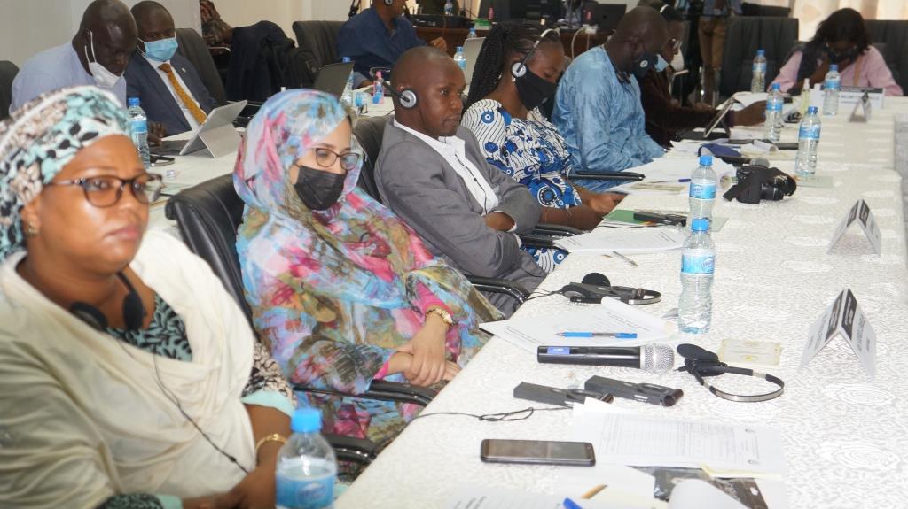 OPENING REMARKS BY HE JUSTICE IMANI D. ABOUD, PRESIDENT OF THE AFRICAN COURT – DELIVERED BY HON. LADY JUSTICE TUJILANE CHIZUMILA, JUDGE OF THE COURT