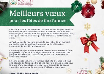 Joyeuses fêtes de fin d’année et meilleurs vœux pour la nouvelle année