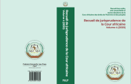 RECUEIL DE JURISPRUDENCE DE LA COUR AFRICAINE VOLUME 4 (2020)